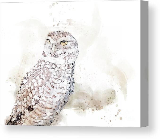 Burrowing Owl Canvas Print featuring the digital art Those Eyes 2 by Jayne Carney