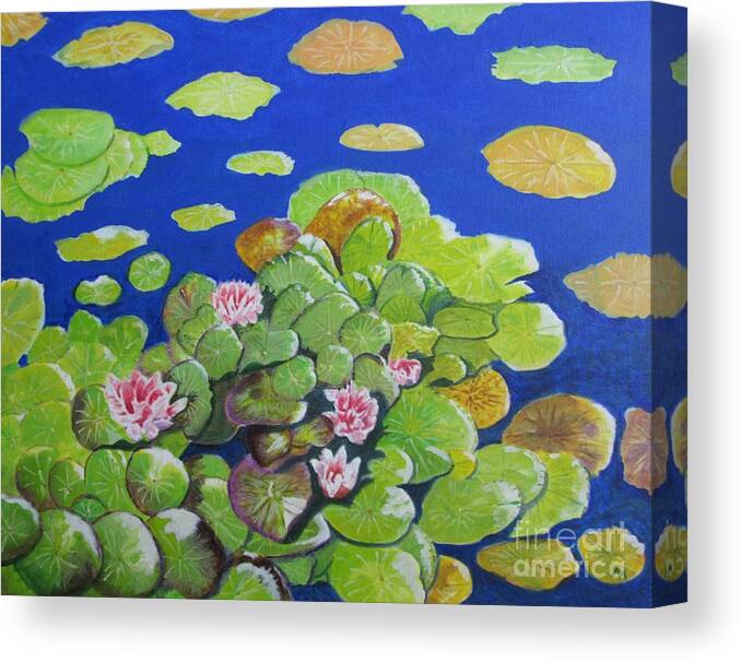 Water Lillies Canvas Print featuring the painting Water Lillies by Edward McNaught-Davis