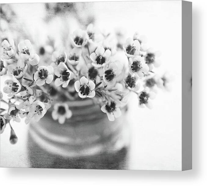 Flowers Canvas Print featuring the photograph Wax Flowers by Lupen Grainne