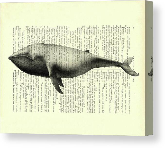 Whale Canvas Print featuring the mixed media Whale on book page by Madame Memento
