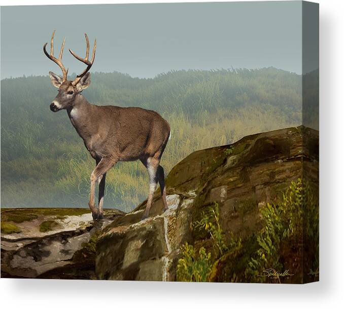 Deer Canvas Print featuring the digital art White-tailed Buck at Dawn by M Spadecaller