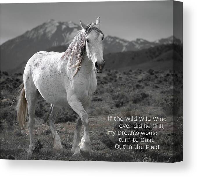 Wild Horses Canvas Print featuring the photograph Wild, Wild Wind by Mary Hone
