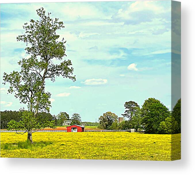 Wildflower Canvas Print featuring the photograph Wildflower Field by Lee Darnell