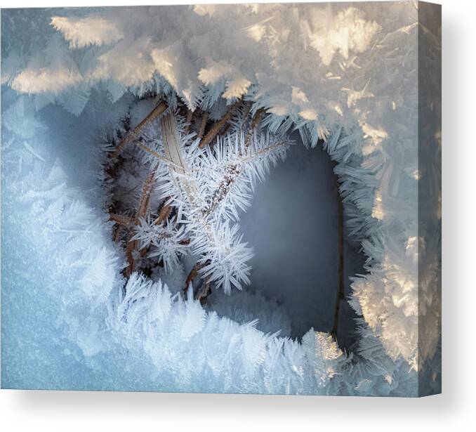 Winter Canvas Print featuring the photograph Winter Eye Pattern by Karen Rispin