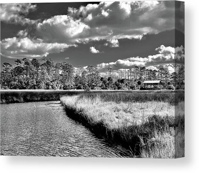 Florida Canvas Print featuring the photograph Winter in the Marsh Land NE Florida by John Anderson