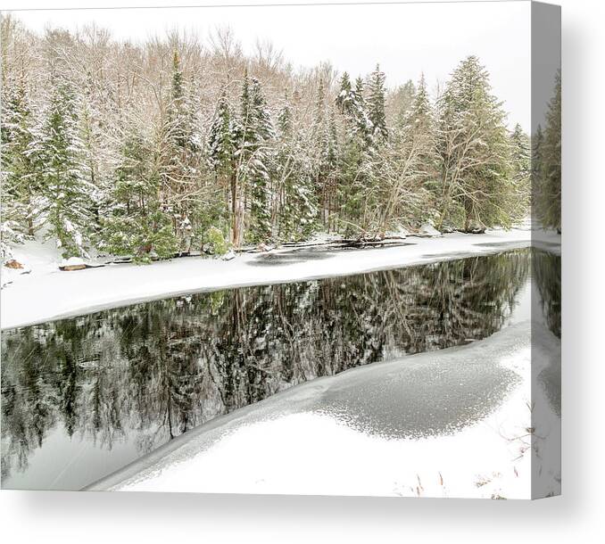 Winter Canvas Print featuring the photograph Winter on the Moose by Rod Best