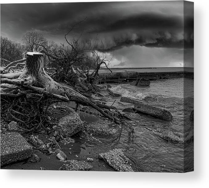 Winter Canvas Print featuring the photograph Winter Storm Debris Black and White by Scott Olsen