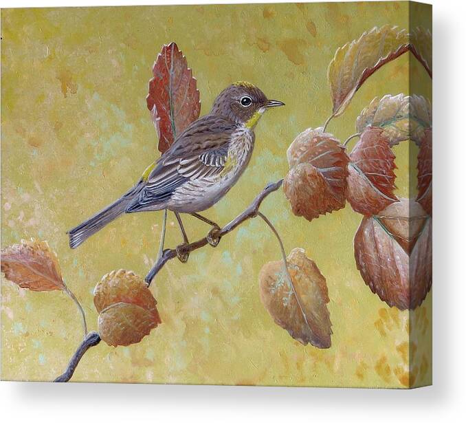 Yellow-rumped Warbler Canvas Print featuring the painting Yellow-rumped Warbler by Barry Kent MacKay
