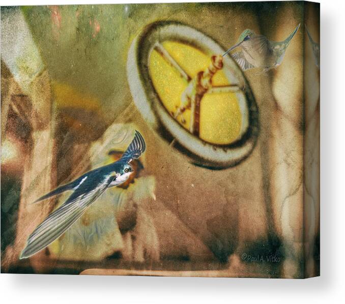 Bird Canvas Print featuring the photograph Untitiled00ud by Paul Vitko