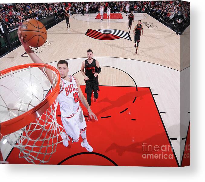 Chicago Bulls Canvas Print featuring the photograph Zach Lavine by Sam Forencich