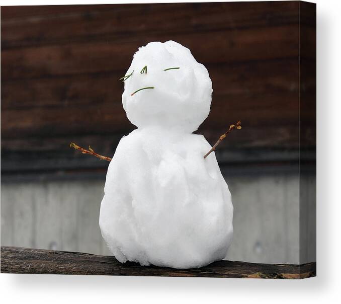 Snowman Canvas Print featuring the photograph Zen Fence Sitting Mini Holiday Snowman by Shawn O'Brien
