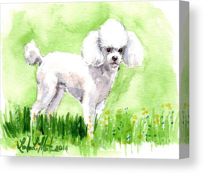 Poodle Canvas Print featuring the painting Jorji Standing by Linda L Martin
