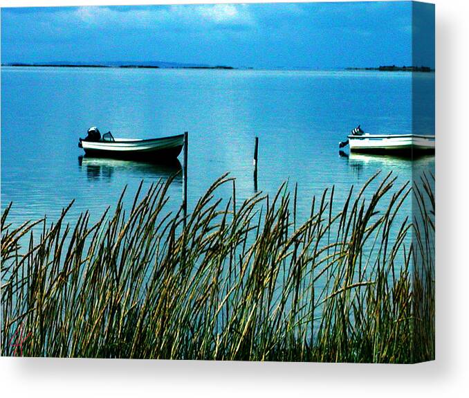Colette Canvas Print featuring the photograph Peaceful Samsoe Island Denmark by Colette V Hera Guggenheim