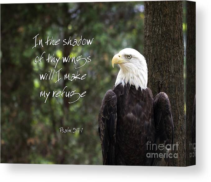 Bald Eagle Canvas Print featuring the photograph Eagle Scripture by Jill Lang