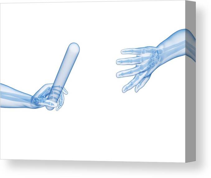 Artwork Canvas Print featuring the photograph Human Hand Passing Relay Baton #1 by Sebastian Kaulitzki