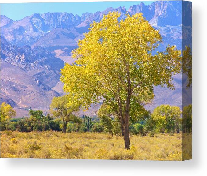 Sky Canvas Print featuring the photograph In All Its Glory by Marilyn Diaz