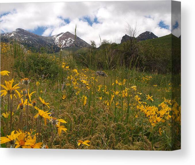 Elko Nevada Landscape Photography Canvas Print featuring the photograph Independence Range #2 by Jenessa Rahn