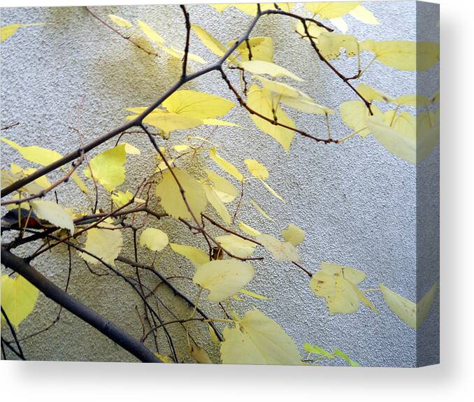Leaf Canvas Print featuring the photograph Leaves And Twigs #2 by Eric Forster