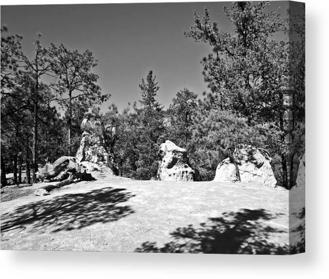 Mesa Canvas Print featuring the photograph Los Alamos Trail Find II #1 by Tom DiFrancesca