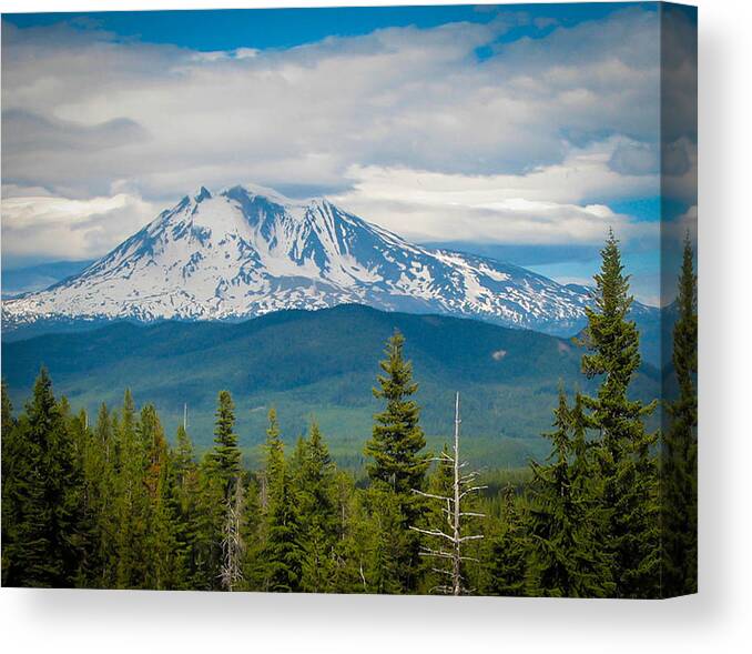 Mt. Adams Canvas Print featuring the photograph Mt. Adams from Indian Heaven Wilderness #1 by Patricia Babbitt