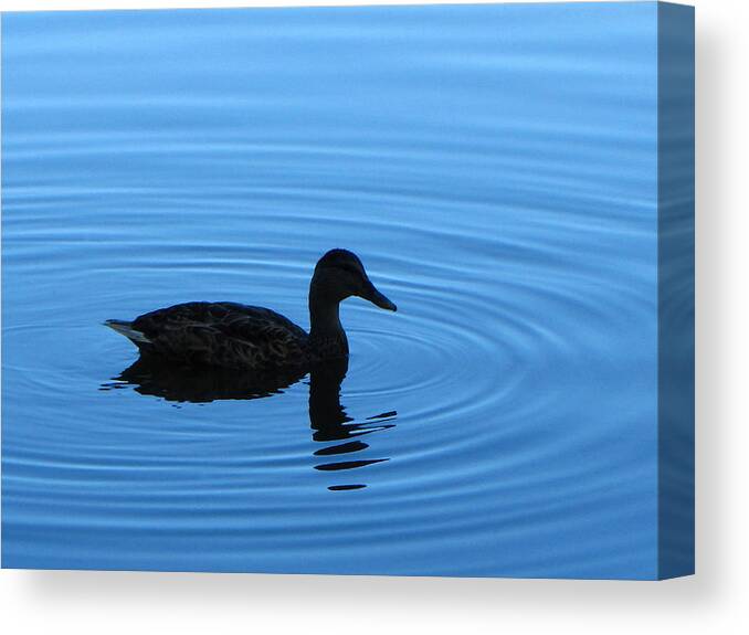 Water Canvas Print featuring the photograph Pondering by Tikvah's Hope
