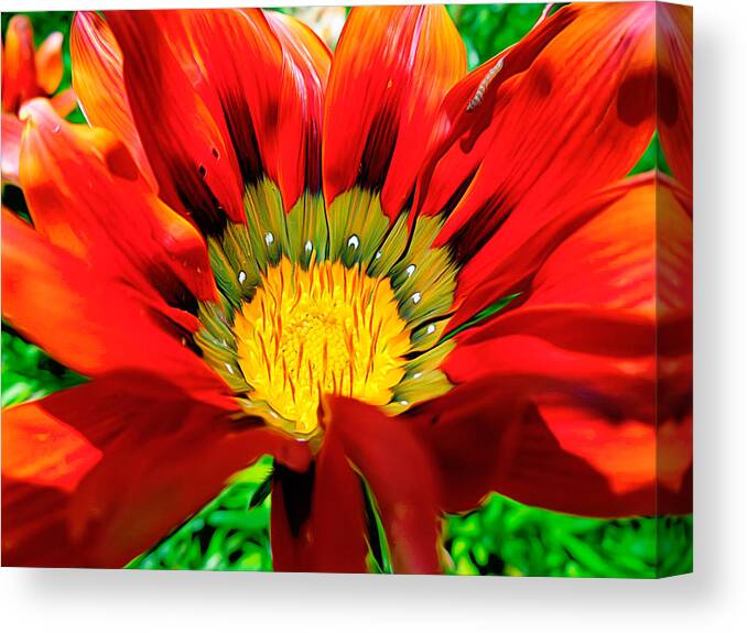 Macro Canvas Print featuring the photograph Red flower #1 by Katherine Smit