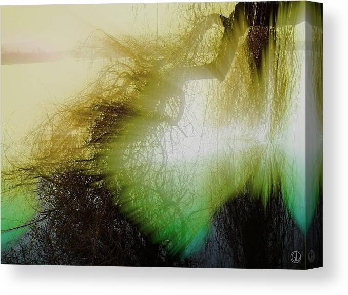 Nature Canvas Print featuring the digital art Reflection #1 by Gun Legler