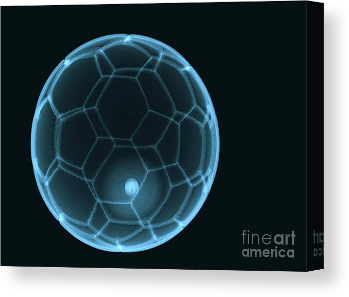 Ball Canvas Print featuring the photograph Soccer Ball X-ray #2 by Eurelios