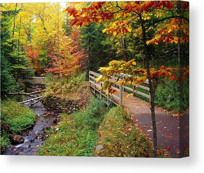 Autumn Canvas Print featuring the photograph There is a Harmony in Autumn #1 by Lori Strock