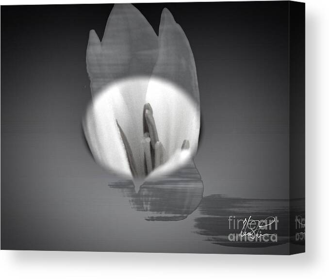 Flower Canvas Print featuring the photograph Translucent Flower #1 by Keith Lyman