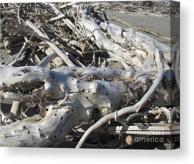 Beach Canvas Print featuring the photograph Driftwood on the beach #11 by Chani Demuijlder