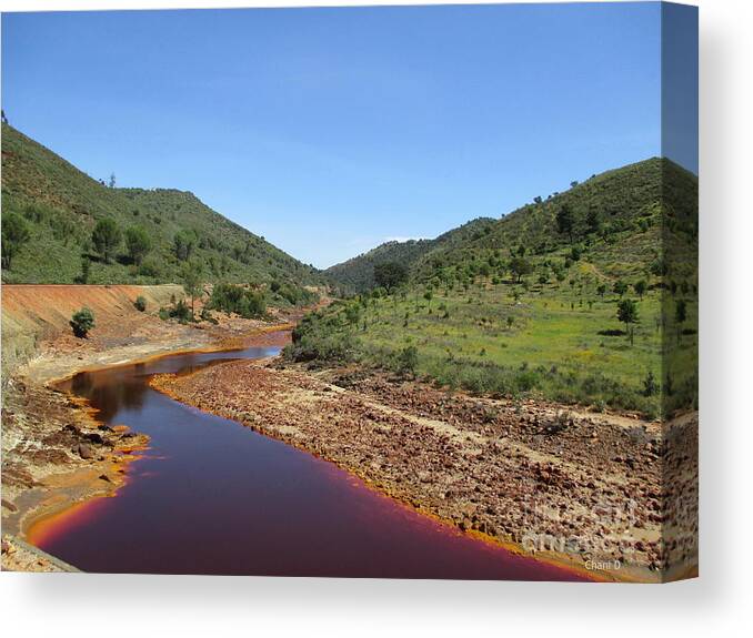 Rio Canvas Print featuring the photograph Rio Tinto #26 by Chani Demuijlder