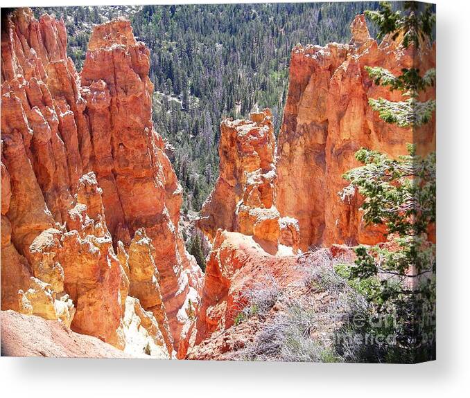 Utah Canvas Print featuring the photograph Utah Bryce Canyon #16 by Ted Pollard