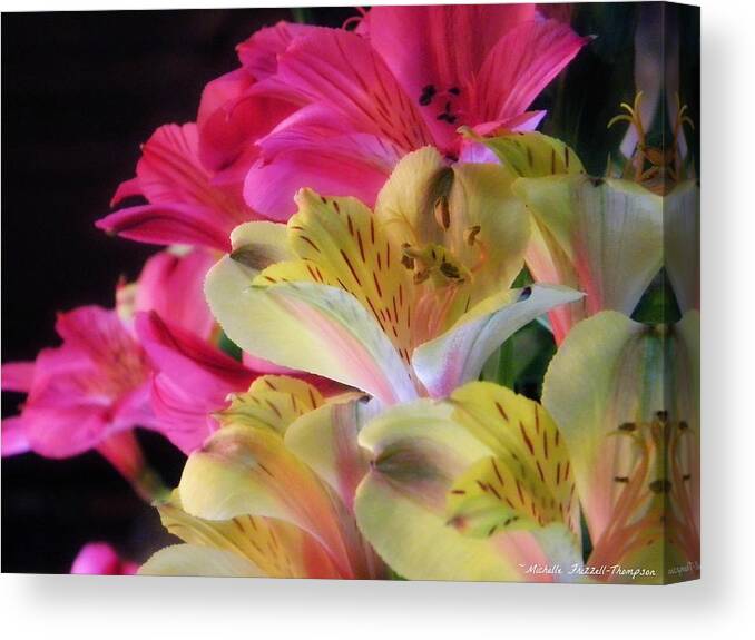 Pink Canvas Print featuring the photograph Beauty #2 by Michelle Frizzell-Thompson