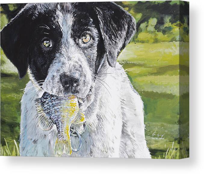Dog Canvas Print featuring the painting First Catch by Aaron Spong
