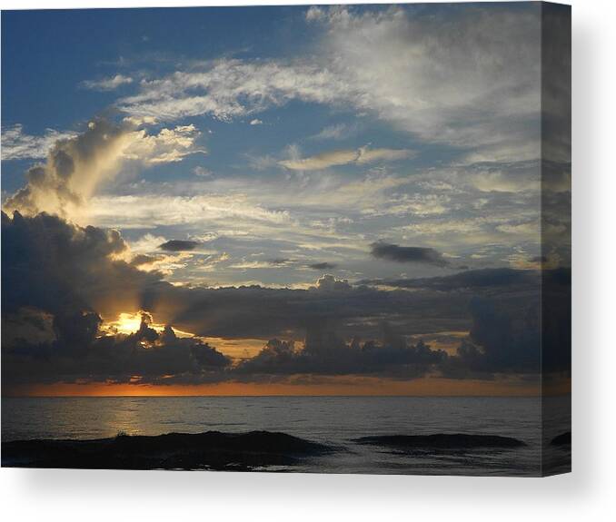 Nature Canvas Print featuring the photograph First Light #2 by Sheila Silverstein