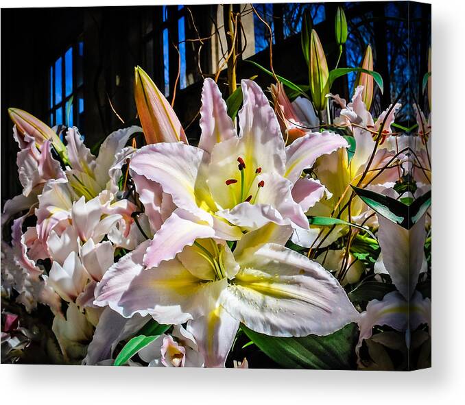 Lilies Canvas Print featuring the photograph Lilies Out Of The Shadows by Len Romanick