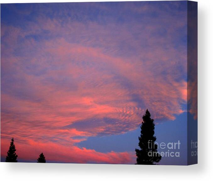 Pink Sky Canvas Print featuring the photograph Pink Sky #2 by Debra Thompson
