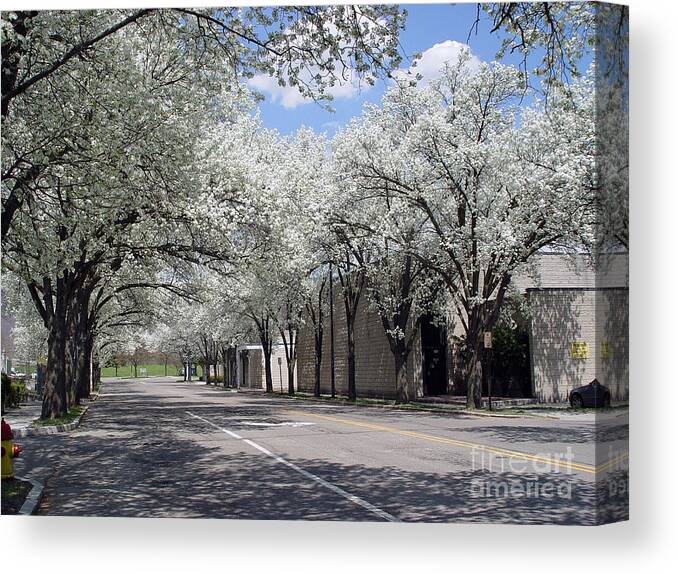 Corning Canvas Print featuring the photograph Springtime Corning NY 1 #2 by Tom Doud