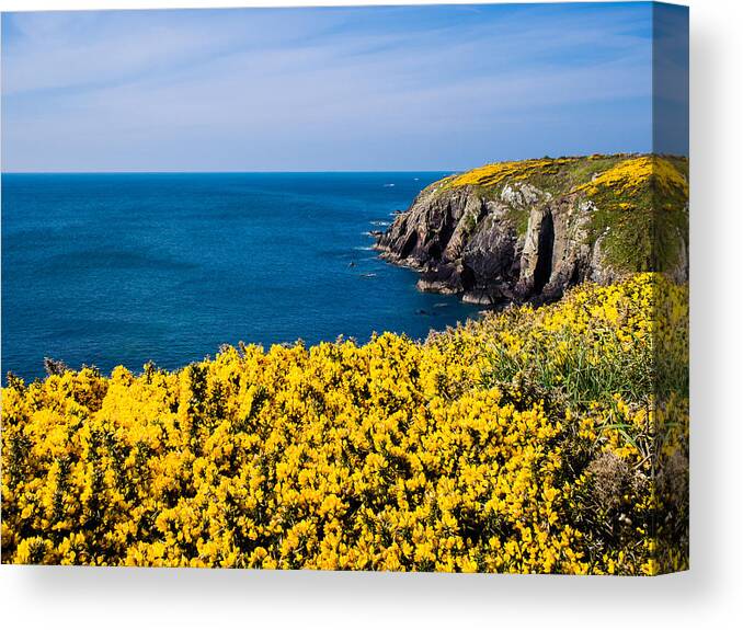 Birth Place Canvas Print featuring the photograph St Non's Bay Pembrokeshire #2 by Mark Llewellyn