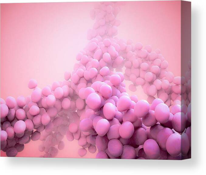 Bacteria Canvas Print featuring the photograph Staphylococcus Bacteria #2 by Maurizio De Angelis
