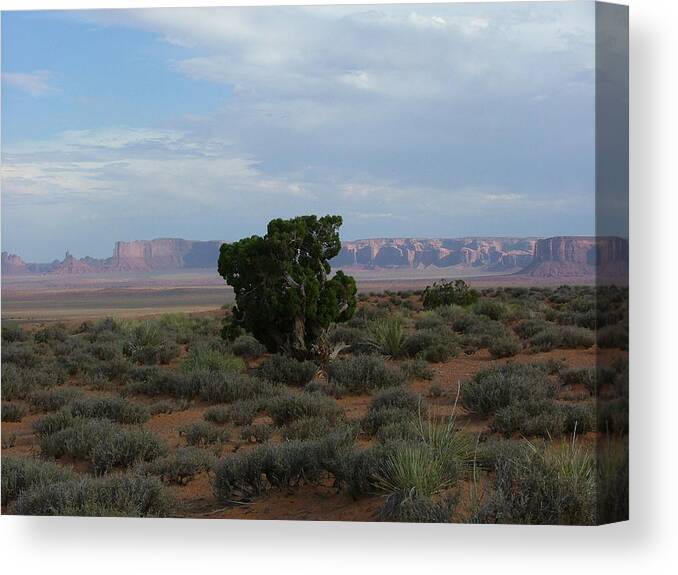Digital Photography Canvas Print featuring the photograph Still Life In The Desert by Sian Lindemann