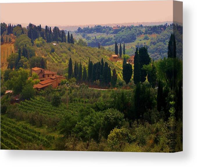 Florence Canvas Print featuring the photograph Tuscan Landscape #2 by Dany Lison