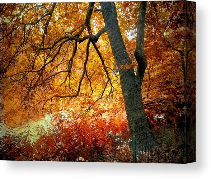 Tree Canvas Print featuring the photograph Ablaze #3 by Jessica Jenney