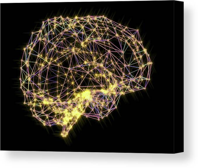 Active Canvas Print featuring the photograph Brain #3 by Alfred Pasieka