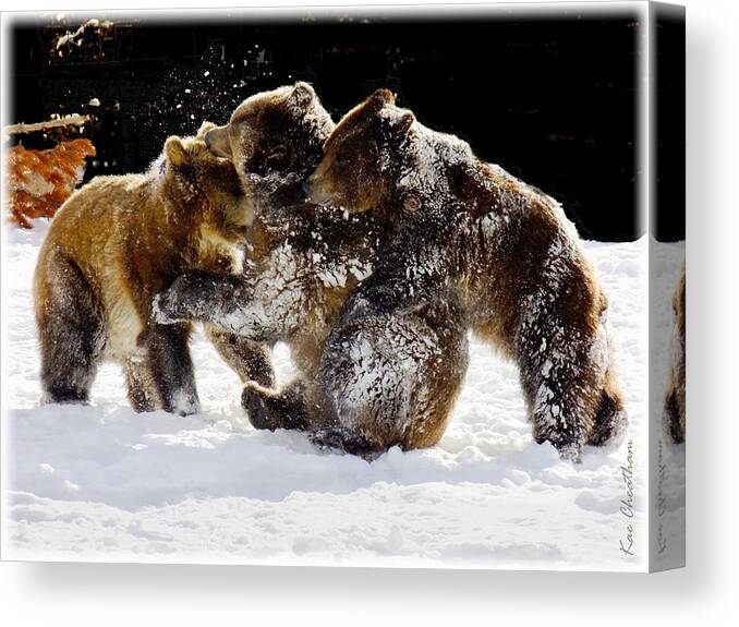 Grizzlies Canvas Print featuring the photograph 300 Pound Playmates by Kae Cheatham