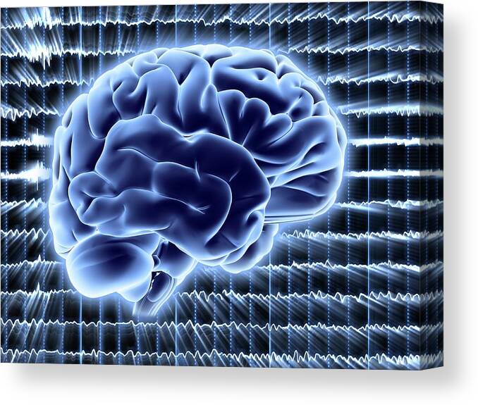 Artificial Intelligence Canvas Print featuring the photograph Brain Activity #5 by Alfred Pasieka/science Photo Library