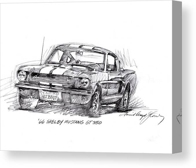 Mustang Canvas Print featuring the drawing 66 Shelby 350 GT by David Lloyd Glover