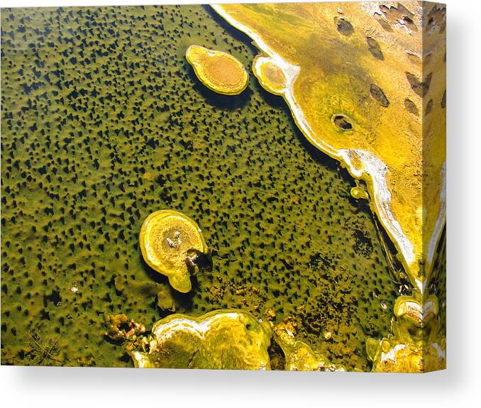 Hot Spring Canvas Print featuring the photograph Abstract by Carl Moore