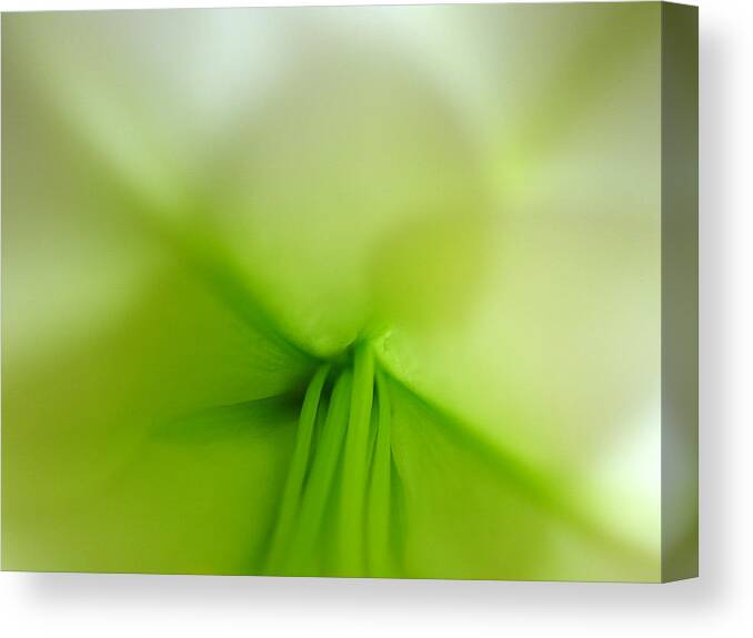 Artwork Canvas Print featuring the photograph Abstract Forms in Nature by Juergen Roth